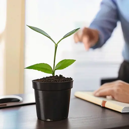 Что помогает бизнесу расти без лишней спешки