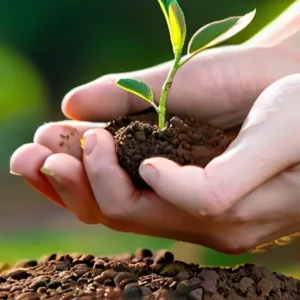 Что помогает сохранять управляемость в период роста