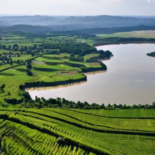 Как технологии помогают в экологическом мониторинге