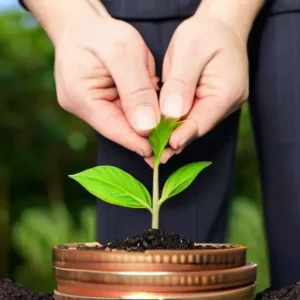 Что важно для поддержания устойчивого темпа роста